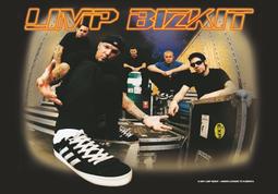 +英國《正版》全新進口海報，【LIMP BIZKIT】6c 歷史價格詳細信息