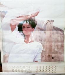 80年代：Dor Mei 劍龍塑膠玩具（恐龍軟膠、怪獸模型、U.K.R.D、Stegosaurus、早期民藝、老膠） 歷史價格詳細信息