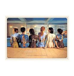 +英國《正版》全新進口海報，【PINK FLOYD】 歷史價格詳細信息