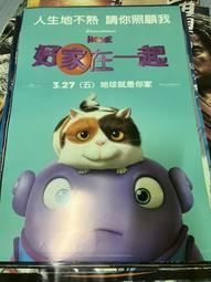 【好家在一起 特惠中!!!】正版 豬豬貓 23cm 毛絨玩具 Home家園 ~生日禮物創意娃娃 歷史價格詳細信息