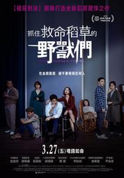 【現貨】晟樂居摺疊鞋櫃透明免安裝加厚塑料鞋架家用門口防塵鞋子收納鞋盒 歷史價格詳細信息