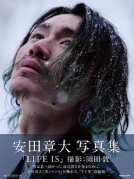 8安 大飛帆袋型│帆布袋│胚布袋│帆布包│DIY蝶古巴特 歷史價格詳細信息