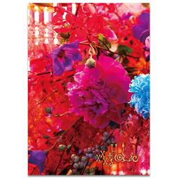 (新品)映画【チェリまほ THE MOVIE。櫻桃魔法】鑰匙圈-安達西裝版。赤楚衛二 歷史價格詳細信息