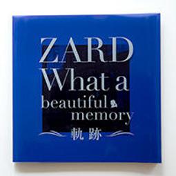 代購 ZARD musing 坂井泉水 music freak magazine ZARD Memories II 日版 歷史價格詳細信息