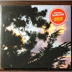 【Garland】LED松果銅線燈 2米(花環燈 LED燈串 裝飾 氣氛 節日彩燈串 聖誕燈飾 求婚 聖誕樹佈置 陽台佈置) 歷史價格詳細信息