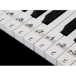 【好聲音樂器】鍵盤零錢袋 MIT (附發票) 台灣製 零錢包 收納袋 收納包 可裝悠遊卡 學生證 鋼琴鍵盤 零錢包 歷史價格詳細信息