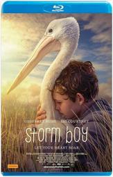 【藍光電影】風之谷 宮崎駿經典] Nausicaa Of The Valley Of The Wind 1984 11- 歷史價格詳細信息