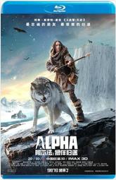 狼王歸來霸氣短袖T恤個性潮男高街嘻哈風短袖T動物3d短袖打印立體滿版T青少年大碼T恤 親子裝【滿299元發貨】 歷史價格詳細信息