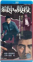 15968 中心鄂丙午十文單冠龍，PCGS XF Detai48 歷史價格詳細信息