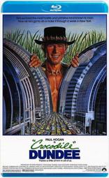 【鄧先生】咔巴熊網紅解壓本蠟筆小新減壓筆記本子可愛超萌少女心創意手賬本-鑫星精選 歷史價格詳細信息