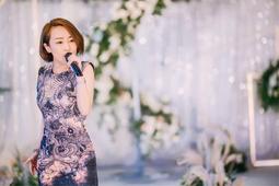 婚禮歌手The Wedding Singer-亞當山德勒 茱兒芭莉摩 克莉絲汀泰勒-英語發音/繁體中文字幕-台灣中龍正版 歷史價格詳細信息