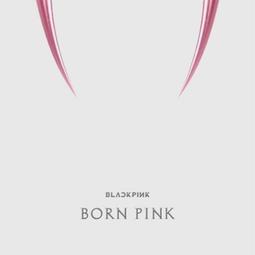 Born Pink Visitor Benefits Blackpink Lisa KPOP 歷史價格詳細信息
