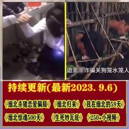 豬殺令DVD 尼可拉斯凱吉、艾力克斯沃爾夫、亞當阿金 Pig 台灣正版全新111/10/28發行 歷史價格詳細信息