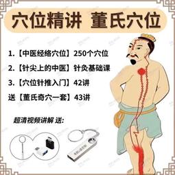 針灸視頻U盤入門-大師民間絕技鬼十三針美容針灸臨床穴位腰腿止痛 歷史價格詳細信息