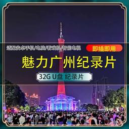 U盤西漢大唐帝陵西夏陵大明宮圓明園64G故宮100紀錄片超清MP4優盤 歷史價格詳細信息