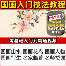 山水畫視頻教程U盤自學中國古典山水云石樹木畫法全套名師講解U盤 歷史價格詳細信息
