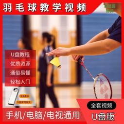 羽毛球自學視頻教程羽毛球零基礎優盤十幾位教練李宇軒陳金課程 歷史價格詳細信息