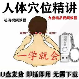 針灸視頻U盤入門-大師民間絕技鬼十三針美容針灸臨床穴位腰腿止痛 歷史價格詳細信息