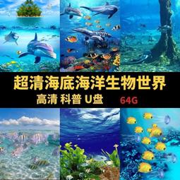 兒童科普U盤汽車載早教啟蒙優盤少兒學習宇宙恐龍海洋地理南極MP4現貨 歷史價格詳細信息