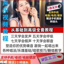 U盤教程自學樂理零基礎視頻自學經驗技巧教學實戰演練視頻U盤教程 歷史價格詳細信息