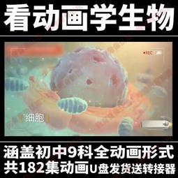 u盤看動畫視頻學習英語108部超清玩具總動員冰河世紀獅子王優盤 歷史價格詳細信息