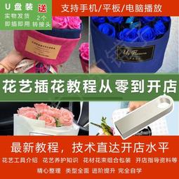管道工視頻教程U盤管道施工基本操作教學排水燃氣熱力管道設計U盤 歷史價格詳細信息
