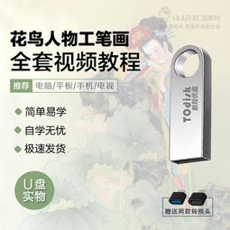 花鳥人物寫意視頻教程U盤國畫花鳥人物寫意構圖技法名師精講U盤版 歷史價格詳細信息