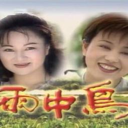 高清優盤U盤臺劇電視劇《紅塵有愛》何家勁連續劇全集優盤發貨USB隨身碟非DVD 歷史價格詳細信息