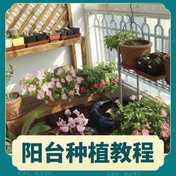 陽臺種植蔬菜專用箱 多層落地養花置物架 室內養殖可移動戶外種菜框 歷史價格詳細信息