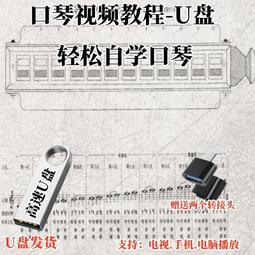 口琴自學視頻U盤教程初學者零基礎入門十孔24孔布魯斯半音階優盤 歷史價格詳細信息