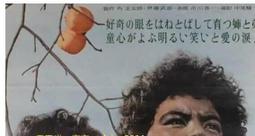 DVD 電影【阿辛正傳/ 阿甘正傳/打死不離喇星夢/拉辛正傳】2022年印地語/中字 歷史價格詳細信息