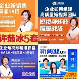 程冰雪程氏岐黃排瘀術程派放皿療法專業課兩套85集視頻u盤發貨 歷史價格詳細信息