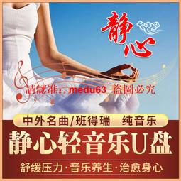 輕音樂大全U盤班得瑞 理查德 神秘園 鋼琴曲 古琴曲車載U盤無損 歷史價格詳細信息
