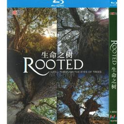 臻享購✨中陽 BD藍光 自然歷史紀錄盤 古代奇跡2018 1080p高清1碟盤 歷史價格詳細信息