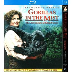 八十八年88年 新台幣發行五十週年紀念銀幣組 附盒及說明書~無收據 如圖 要求完美者 請勿投標 歷史價格詳細信息