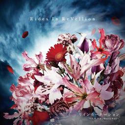 【A & F.】IN FASHION WE TRUST GRAPHIC TEE棉質圓領短T-----現貨S 歷史價格詳細信息