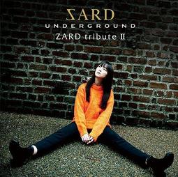 特惠代訂 ZARDブレスレット 紀念手環 ZARD 30TH ANNIVERSARY」刻印あり 歷史價格詳細信息