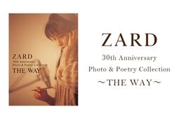 坂井泉水搖滾樂隊ZARD紀念周邊雙肩背包電腦包初高中學生夜光包 歷史價格詳細信息