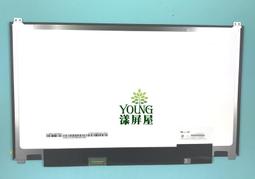 【漾屏屋】升級 B173HW01 V4 V5 N173HGE-L11 VER C1 CR70 CX 70 歷史價格詳細信息