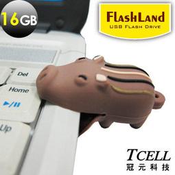 台北NOVA 實體門市 [TCELL冠元] 費雪 8GB (Flash Land快閃森林系列) 歷史價格詳細信息