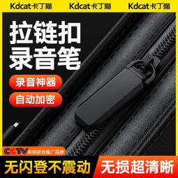 掛飾錄音筆高清降噪錄音器超長待機學生上課會議專業錄音神器 歷史價格詳細信息