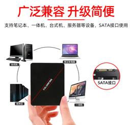 七彩虹CF700電腦M.2固態硬盤1T/2T桌機CN筆電SSD高速PCIE4.0 歷史價格詳細信息