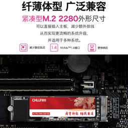 儲技 戴爾DELL筆電專用固態硬盤256G/512G/1T擴容SSD 送系統U盤 歷史價格詳細信息
