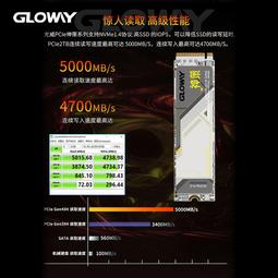 神舟筆電固態硬盤1T高速PCIe3.0戰神Z7/8電腦SSD擴充NVME M.2 歷史價格詳細信息