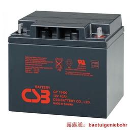 CSB EVX1272 希世比(NP712 NP7.2-12可用) YUASA 湯淺 不段電系統電池 電動工具 歷史價格詳細信息