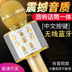 【好康】k歌音響設備全套戶外家用KTV套裝專業級K箱舞臺演出會議婚慶組合 歷史價格詳細信息