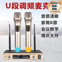 無線話筒一拖二家用卡拉ok唱歌u段調頻接收器真分集麥克風 歷史價格詳細信息