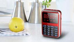 《995電腦》小霸王 S01 老人聽戲機 同先科 AY-F87 金河 KK1 另有S29 D36 MP3插卡音箱 擴音器 歷史價格詳細信息