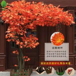 【紅楓】初雪正版JK制服原創女格裙日系學生半身裙校供百褶裙新年 歷史價格詳細信息