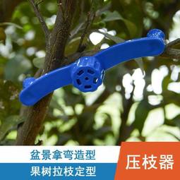 拉枝定型器盆景造型工具拿彎器植物樹枝條固定彎枝苗木果樹壓枝器 歷史價格詳細信息